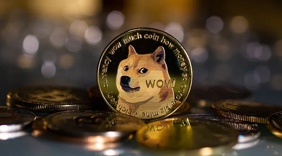 The Ins and Outs of Purchasing Dogecoin (DOGE)